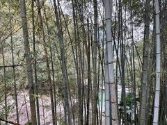 -丹山赤水风景名胜区