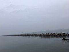 -东疆建设开发纪念公园