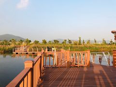 -芒洲湿地公园