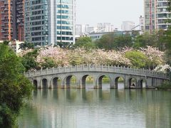 -四海公园(南山区)