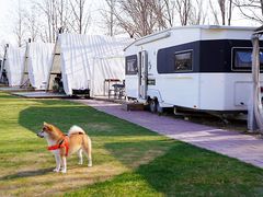 -TIPPI营地 房车主题·露营烧烤团建轰趴(天安假日店)