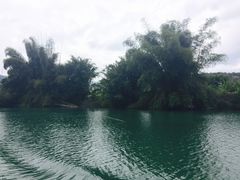 -广州市流溪河国家森林公园