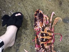 -岛中岛·海鲜大排档·万宁老字号(东澳店)