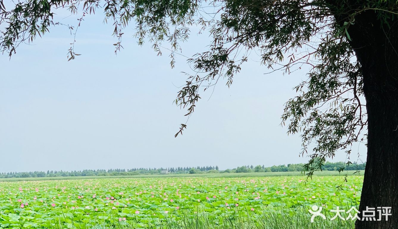  
沈阳周边游🌟旅行推荐🌟夏日避暑好去处