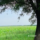  
沈阳周边游🌟旅行推荐🌟夏日避暑好去处