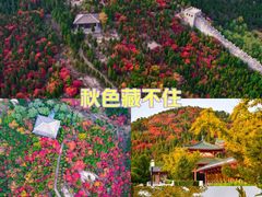 -龙口南山旅游景区