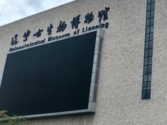 -辽宁古生物博物馆