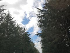 -索尔万