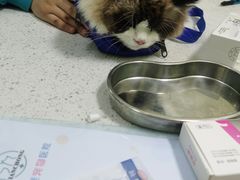 -天宠宠物医院24小时·急重症诊疗中心·全科·腔镜特色(和平分院)