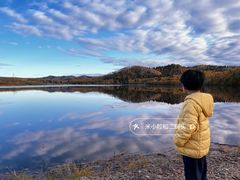 -汤旺河林海奇石景区