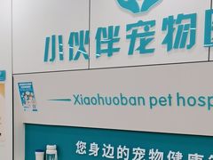 -小伙伴宠物医院·CT·骨科·眼科(高新店)