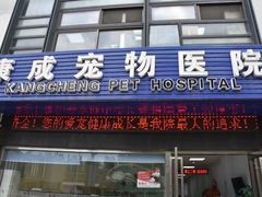 -康成宠物医院24H·CT·核磁共振