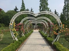 -昆山城市生态森林公园