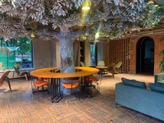 用餐区-迪欧咖啡·中西餐融合菜(平江万达旗舰店)