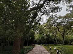 -上海方塔园