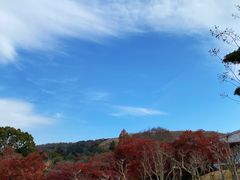 -奈良公园