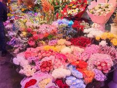 -花鸟鱼虫鲜花绿植市场(玉泉路店)