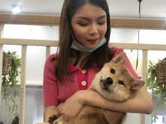 -柯斗斗主题餐厅·狗咖·围炉煮茶·茶饮(国瑞升平里店)