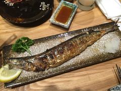 吉川居酒屋-吉川居酒屋(建国北路店)