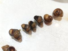 -呼吸森林·生态农庄农家乐私房菜