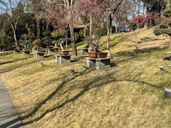 -扬州大运河文化旅游度假区·盆景园