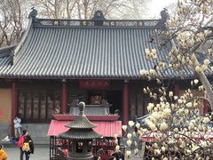 -灵谷景区