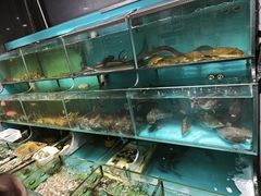 -顺德佬华侨城店·商务宴请·团建