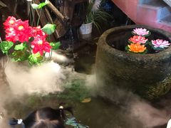 -京都小酒馆(悦城店)