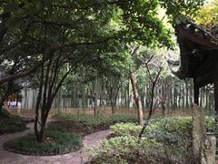 -汇龙潭
