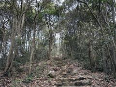 -午潮山国家森林公园