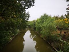 -上海长兴岛郊野公园