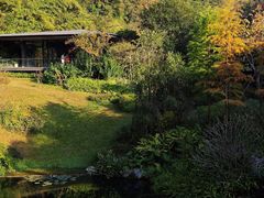 -云溪植物园