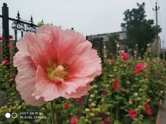 -南宫温泉水世界