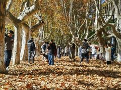 -西安交通大学(雁塔校区)