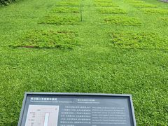 -南越王博物院(王宫展区)