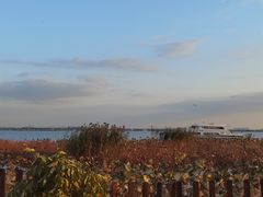 -莲花岛景区