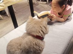 -小时光咖啡馆(开森度假森林店)