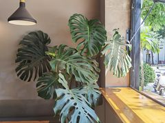 -小意思咖啡店(草桥店)