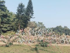 -南沙蒲洲花园