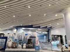 -长沙湘江冰雪世界