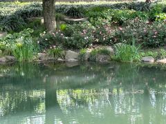 -徐家汇源景区-衡山公园