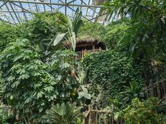 -祥源·阜阳生态乐园