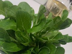 -椰客·海南椰子鸡(天河万菱汇店)