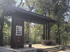 -西湖风景区十里琅珰-五云山