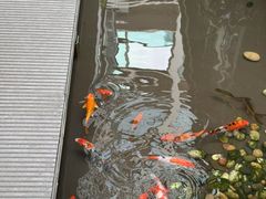 -绿房子方寸咖啡(星海名城店)