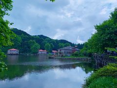 -庐山风景区花径公园