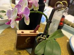 -金河半岛园林酒家(金融城店)