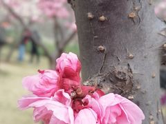 -北京明城墙遗址公园