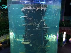 -青岛嘉年华主题乐园