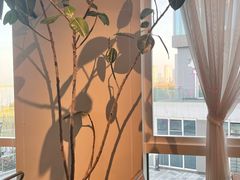 -漾花汐·西餐·下午茶(苏州湾歌林公园店)